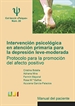 Portada del libro Intervención psicológica en atención primaria para la depresión leve-moderada