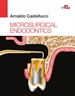 Portada del libro Microsurgical Endodontics