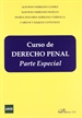 Portada del libro Curso de Derecho Penal Español. Parte especial