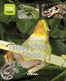 Portada del libro Insectos, anfibios y reptiles