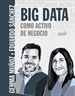 Portada del libro Big Data como activo de negocio