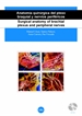 Portada del libro Anatomía quirúrgica del plexo braquial y nervios periféricos/Surgical anatomy of brachial plexus and peripheral nerves (DVD+ llibret explicatiu)