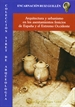 Portada del libro Arquitectura y urbanismo en los asentamientos fenicios de España y el Extremo Occidente