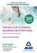 Portada del libro Técnico/a  en Cuidados Auxiliares de Enfermería  de Instituciones Sanitarias de la Conselleria de Sanitat de la Generalitat Valenciana. Simulacros de examen