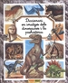 Portada del libro Diccionari En Imatges Dels Dinosaures I La Prehistòria