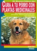 Portada del libro Cura a tu perro con plantas medicinales