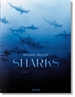 Portada del libro Michael Muller. Sharks