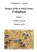 Portada del libro Images of the Lichen Genus Caloplaca, Vol4