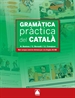 Portada del libro Gramàtica pràctica del català - ed. 2011