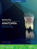 Portada del libro Woelfel. Anatomía dental