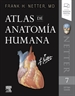 Portada del libro Atlas de anatomía humana (7ª ed.)