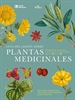 Portada del libro Guía del jardín sobre plantas medicinales