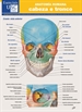 Portada del libro Anatomía humana