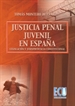 Portada del libro La justicia penal juvenil en España: legislación y jurisprudencia constitucional