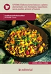 Portada del libro Elaboraciones básicas y platos elementales con hortalizas, legumbres secas, pastas, arroces y huevos. hotr0408 - cocina