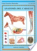 Portada del libro Anatomía del caballo