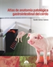 Portada del libro Atlas de anatomía patológica gastrointestinal del cerdo