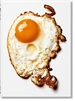 Portada del libro The Gourmand&#x02019;s Egg. A Collection of Stories & Recipes