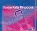 Portada del libro Yoga de Kyabje Kalu Rinpoché