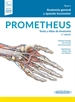 Portada del libro Prometheus. Texto y Atlas de Anatomía T1 5ºED