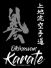 Portada del libro Okinawan Karate