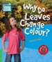 Portada del libro Why Do Leaves Change Colour? Level 3 Factbook