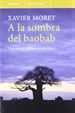 Portada del libro A la sombra del baobab.