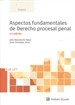 Portada del libro Aspectos fundamentales de derecho procesal penal (4.ª Edición)