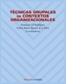 Portada del libro Técnicas grupales en contextos organizacionales
