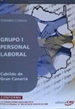 Portada del libro Grupo I Personal Laboral del Cabildo de Gran Canaria. Temario Común
