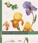 Portada del libro Pinturas Y Dibujos Botanicos Para Artistas