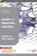 Portada del libro Grupo IV Personal Laboral del Cabildo de Gran Canaria. Temario y Test Común