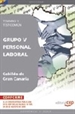 Portada del libro Grupo V Personal Laboral del Cabildo de Gran Canaria. Temario y Test Común