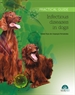 Portada del libro Infectious diseases in dogs