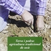 Portada del libro Terra i pedra: agricultura tradicional de secà