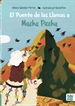 Portada del libro El Puente de las Llamas a Machu Picchu
