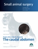 Portada del libro The caudal abdomen. Small animal surgery